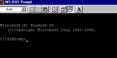 DOS window